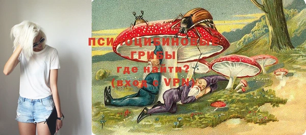 ГАЛЛЮЦИНОГЕННЫЕ ГРИБЫ Алексеевка